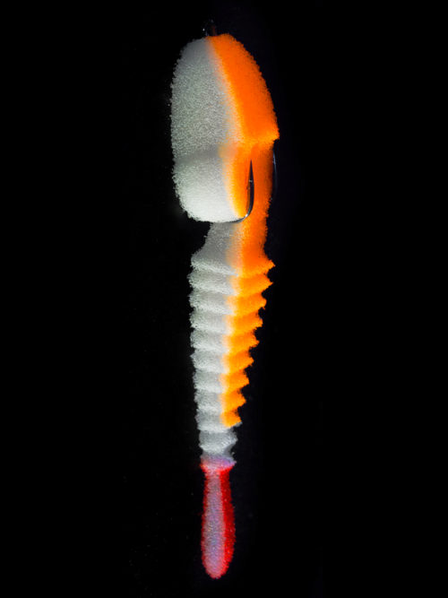 081068.jpg