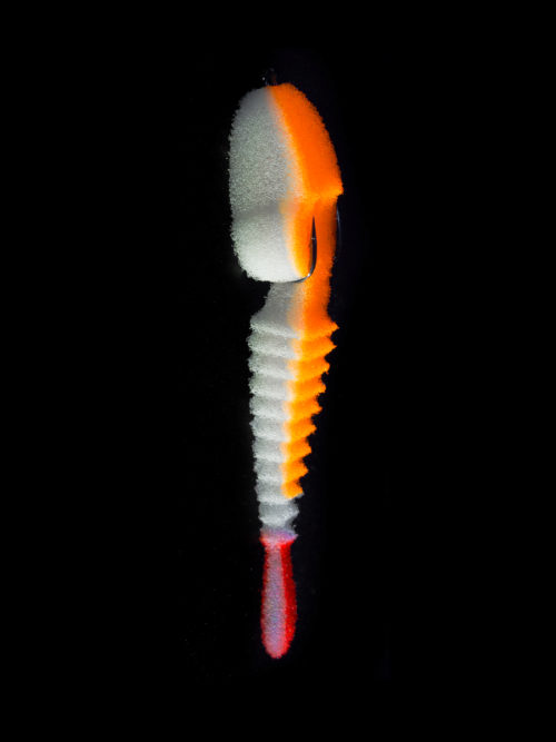 081070.jpg