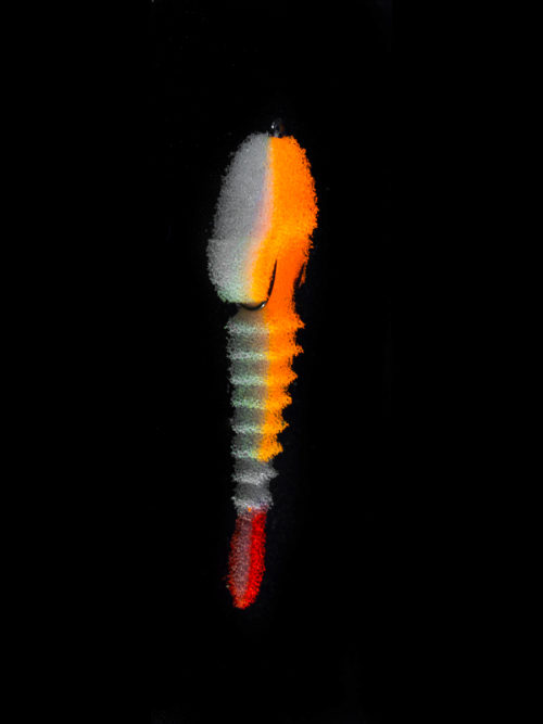 081071.jpg